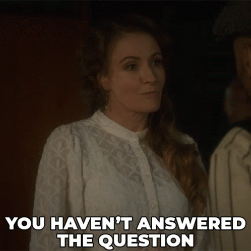 You Havent Answered The Question Julia Ogden GIF - You Havent Answered The Question Julia Ogden Murdoch Mysteries GIFs