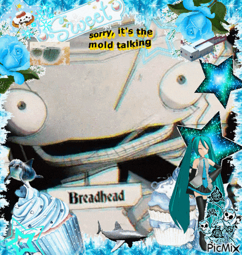 a picture of a breadhead surrounded by blue flowers and stars
