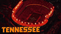 a tennessee flag is being waved in a crowd