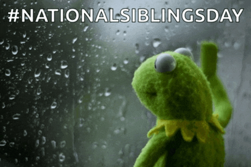 kermit the frog looking out a window with the words national siblings day