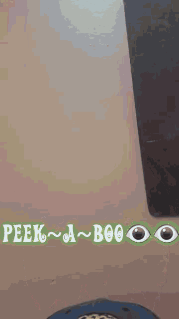 Peeking Peek A Boo GIF - Peeking Peek A Boo GIFs