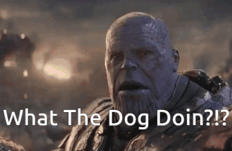 What The Dog Doin Thanos GIF - What The Dog Doin Thanos Marvel GIFs