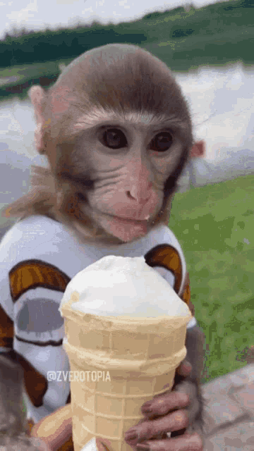 Monkey Ice Cream GIF - Monkey Ice Cream Chilling GIFs