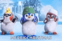 three penguins wearing hats are standing next to each other in the snow .