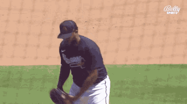 a baseball player is getting ready to throw a ball on a field .