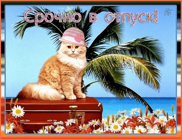 a cat wearing a pink hat sits on a suitcase in front of palm trees