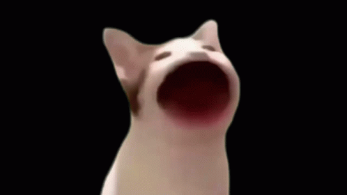 Pop Cat Pop Cat Meme GIF - Pop Cat Pop Cat Meme Explosion GIFs