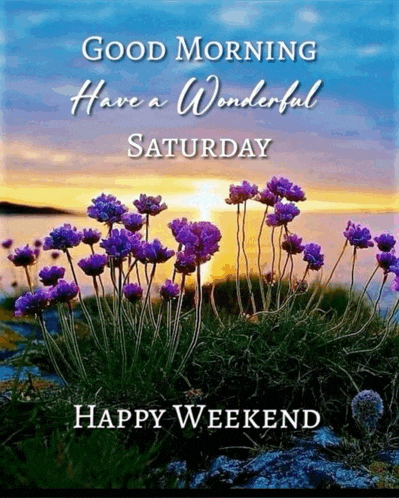 a good morning have a wonderful saturday happy weekend greeting card with purple flowers in the foreground