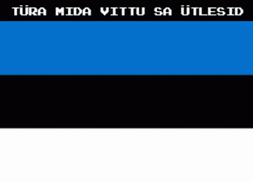 Türa Mida Vittu GIF - Türa Mida Vittu Eesti GIFs