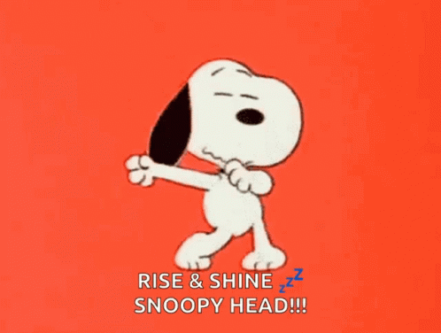Switch_dayz Snoopy GIF - Switch_dayz Dayz Snoopy GIFs