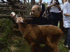 a man is holding a picture of a dog on his finger
