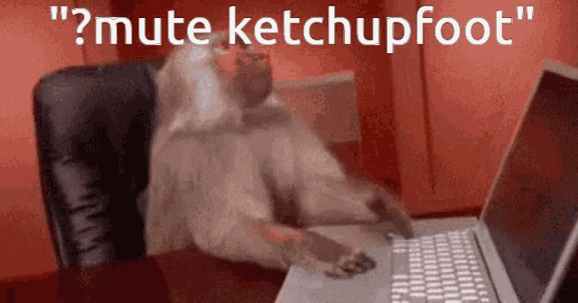 a dog sits at a desk with a laptop and the words " mute ketchupfoot " on the bottom