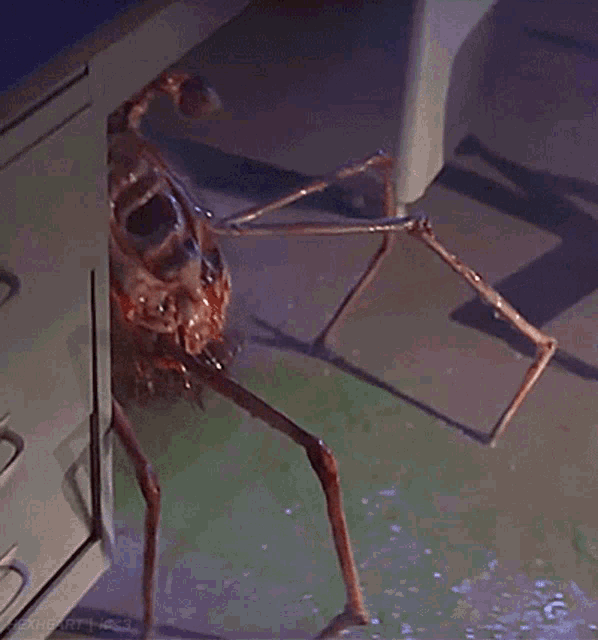 The Thing Body Horror GIF - The Thing Body Horror Monster GIFs