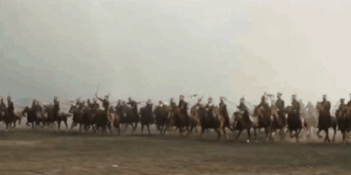 Waterloo Cavalry GIF - Waterloo Cavalry Polish GIFs