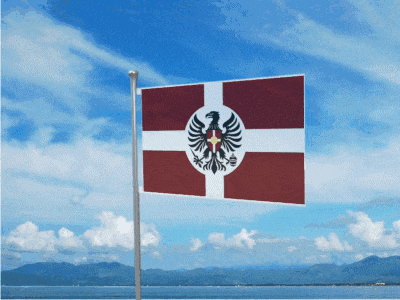 a red white and black flag with an eagle in the middle