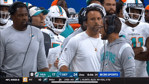 a group of dolphins players are standing on the field