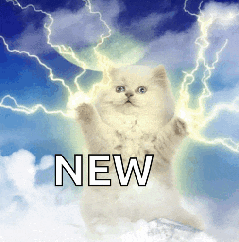 a cat in the sky with lightning and the word new