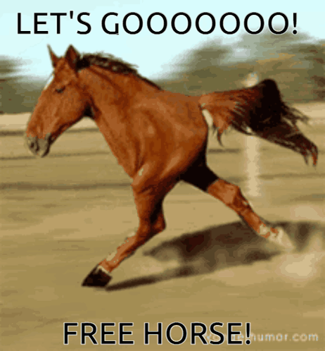 Lets Goo Lets Gooo Free Horse GIF - Lets Goo Lets Go Lets Gooo Free Horse GIFs