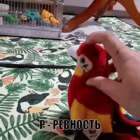 a person is petting a stuffed parrot with a foreign language written on it
