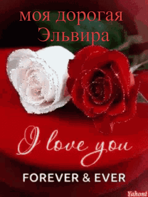a picture of two roses with the words i love you forever and ever