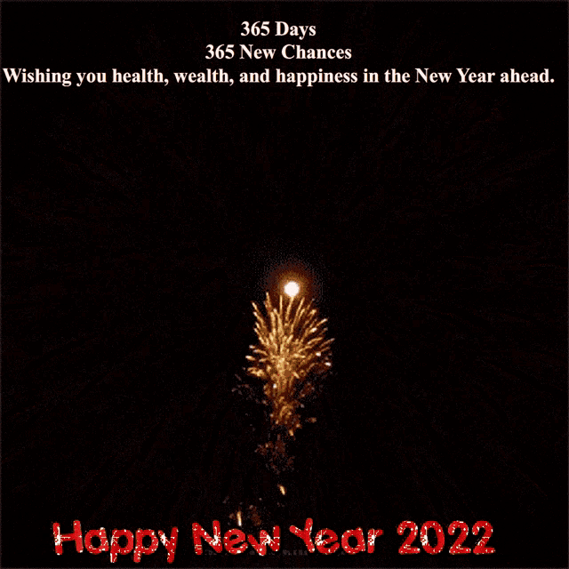 Happy New Year Happy New Year Anim GIF