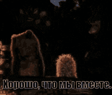 a picture of a bear and a squirrel with the words " хорошо что мы вместе " on the bottom