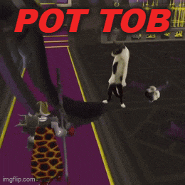 a screenshot of a video game with the words pot tob