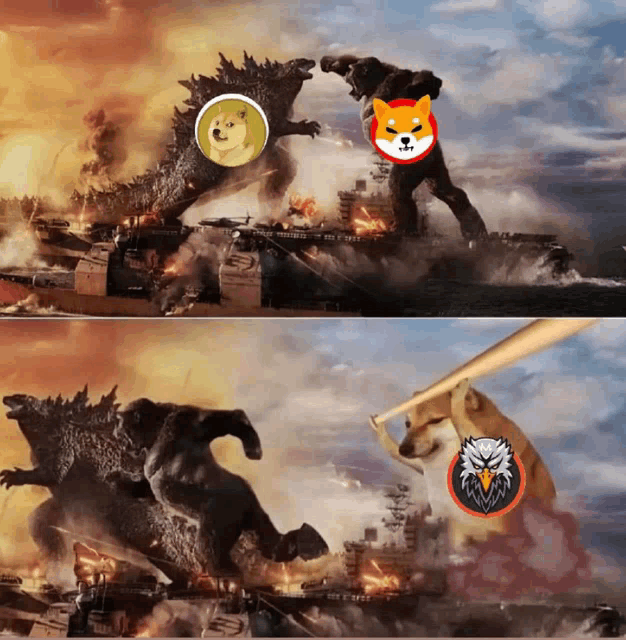 a doge and a shiba inu fighting each other