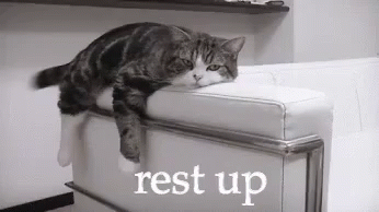Cat Rest Up GIF - Rest Up Rest Tired GIFs