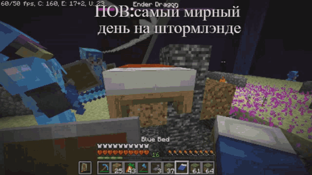 a screenshot of a minecraft game with the words " free the end " at the top