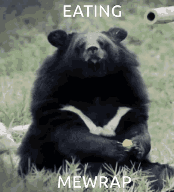 a bear is sitting in the grass eating a piece of food with the caption eating mewrap