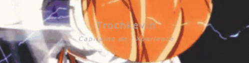 Trochkevin Capitaine De I Xperience GIF - Trochkevin Capitaine De I Xperience Anime GIFs