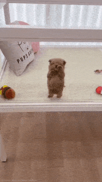 a small puppy is standing on its hind legs in a cage with a pillow that says pups alive on it
