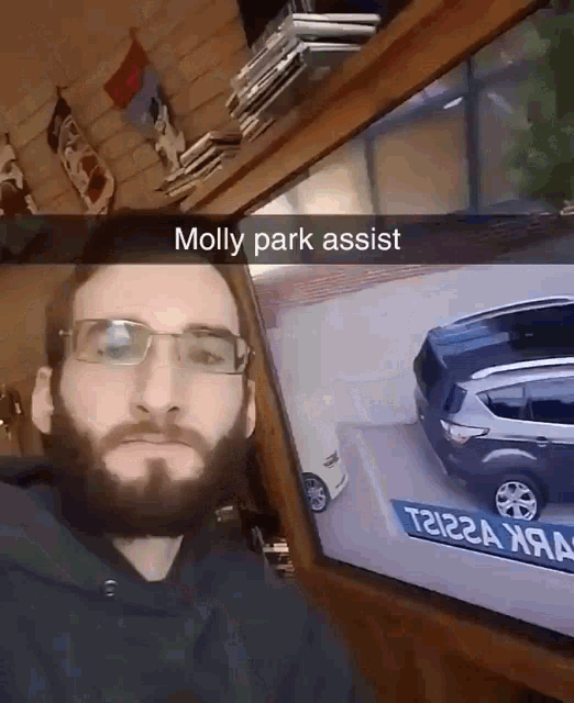 Molly Park Assist Parking GIF - Molly Park Assist Parking GIFs