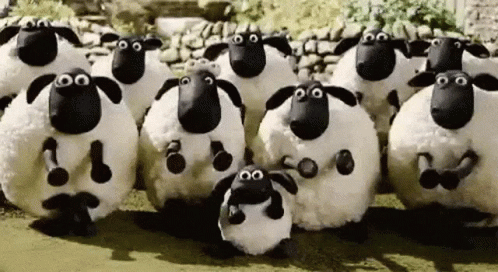 Clapping Sheep GIF - Clapping Sheep Applause GIFs