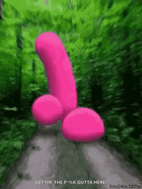 a pink penis is walking down a dirt road in the woods .