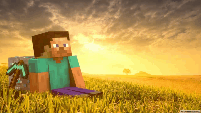 a minecraft character is sitting in a field with a diamond pickaxe on his back