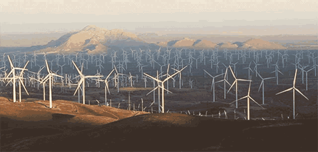 a large amount of wind turbines are lined up on a hillside