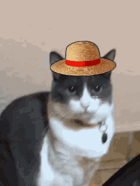 a black and white cat is wearing a straw hat