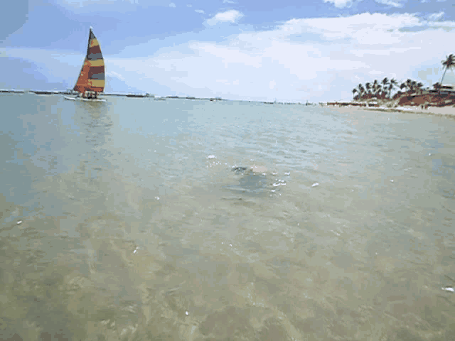 a person swimming in the water near a sailboat