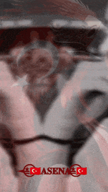 a blurred image of a person with the letters c and a on it