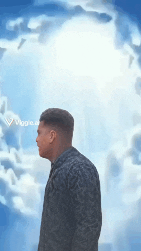 a man is standing in front of a cloudy sky with the words viggle.ai on the bottom left