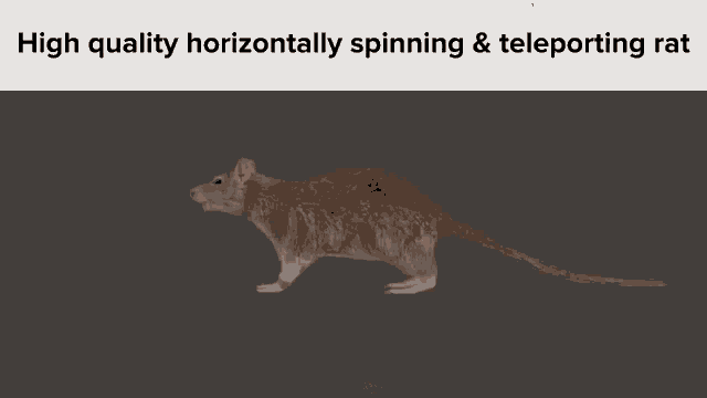 Teleporting Rat High Quality Horizontally Spinning Rat GIF - Teleporting Rat High Quality Horizontally Spinning Rat Spinning Rat GIFs
