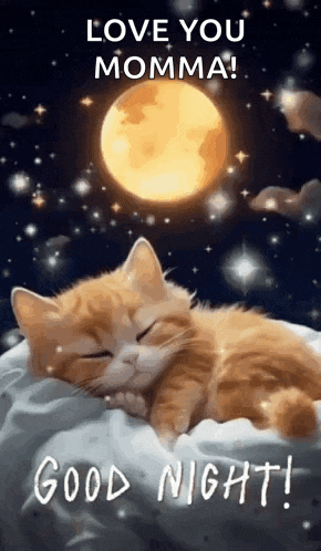 a cat is sleeping on a bed with a full moon in the background and a good night message .