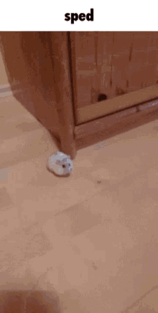 a blurred image of a wooden floor with the word sped on the bottom