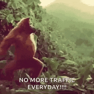 a monkey is standing in the middle of a forest .