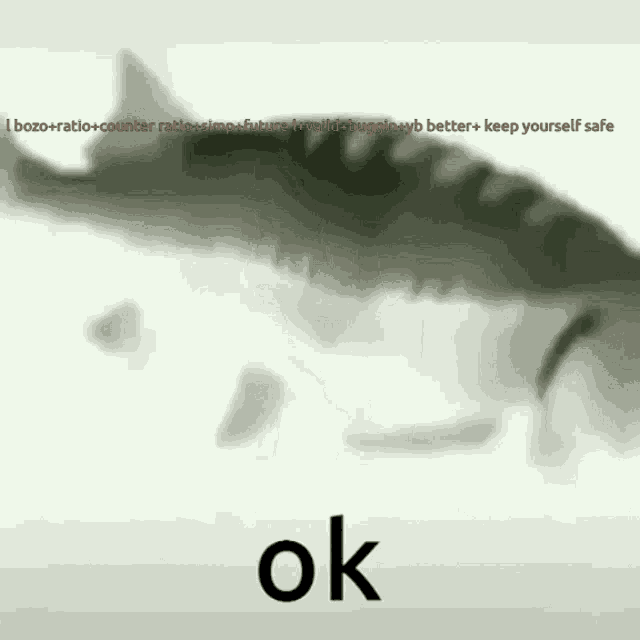 a black and white image of a shark with the words ok below it