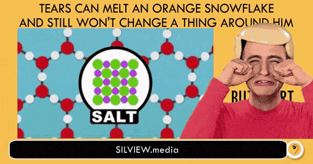 Tears Can Melt An Orange Snowflake Wont Change A Thing Around Him GIF - Tears Can Melt An Orange Snowflake Wont Change A Thing Around Him Hold The Butthurt In GIFs
