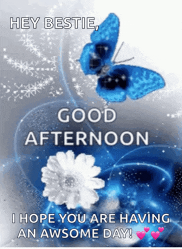 a good afternoon message with a blue butterfly on a flower