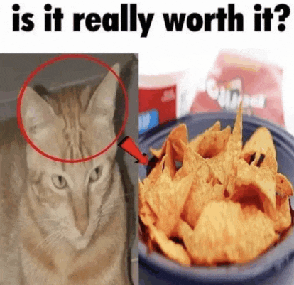 a picture of a cat next to a bowl of chips with the caption " is it really worth it "